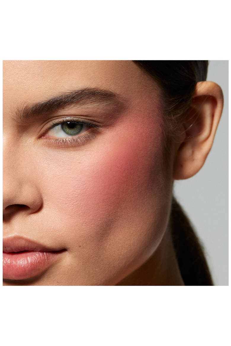 Powder Blush Stick, Alternate, color, 115 NEVER TOO MUCH