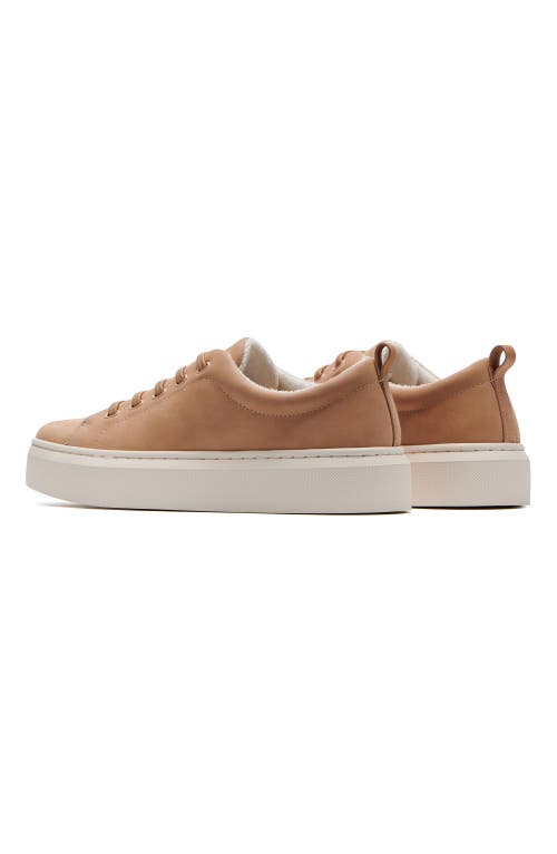 Abeo Jumpstreet Bungee Sneaker In Sand Shimmer - Regular