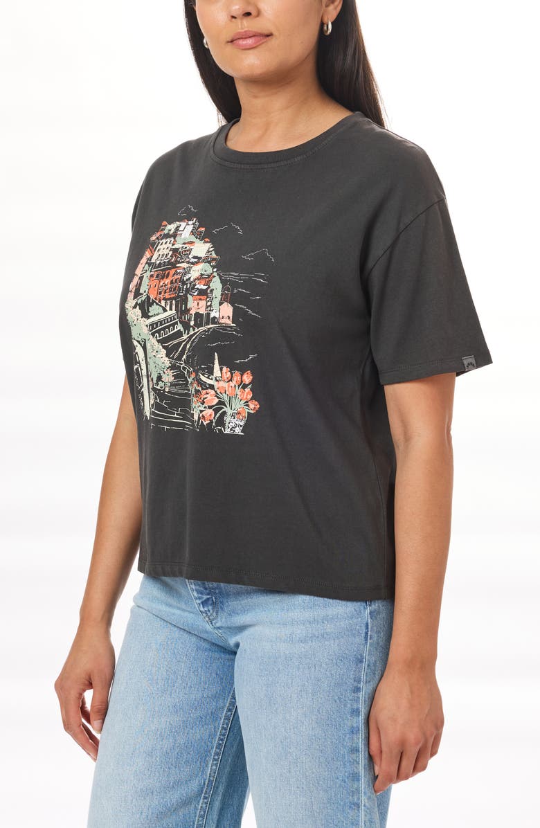 C & C California Toni Boxy Cotton Crop Tee, Alternate, color, 