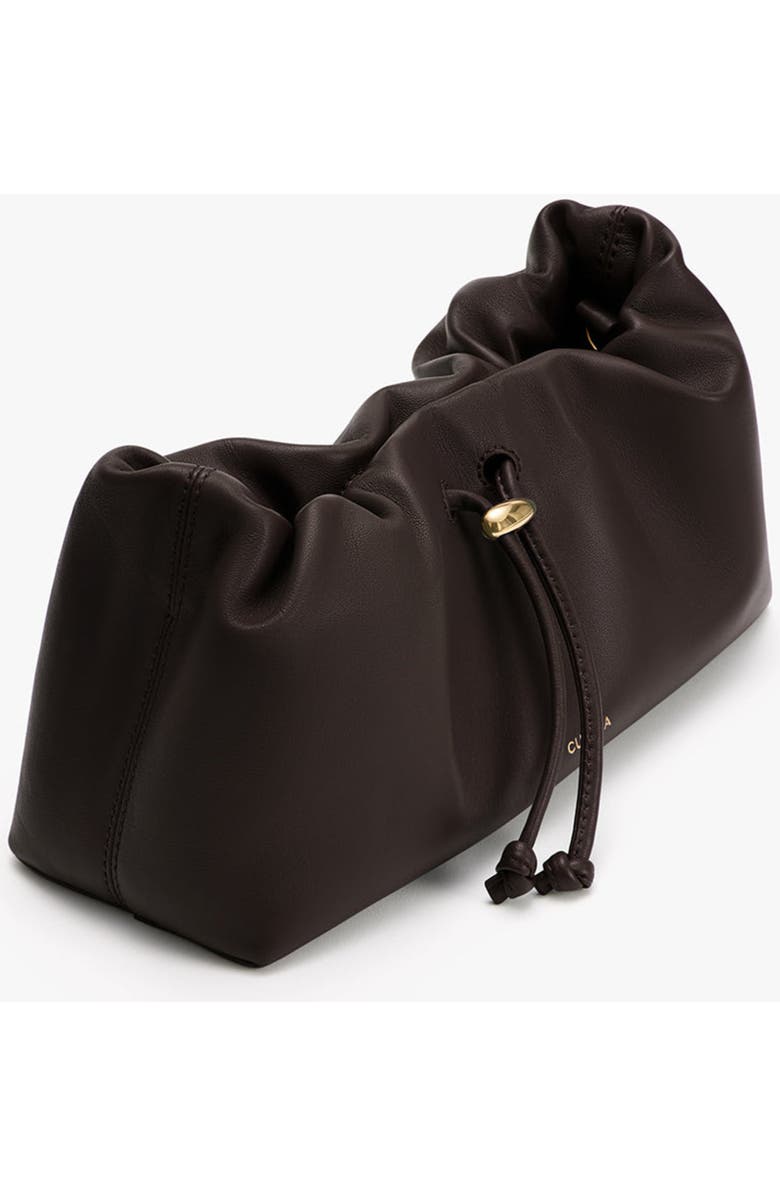 Cuyana Mini Dia Bag, Alternate, color, Mocha
