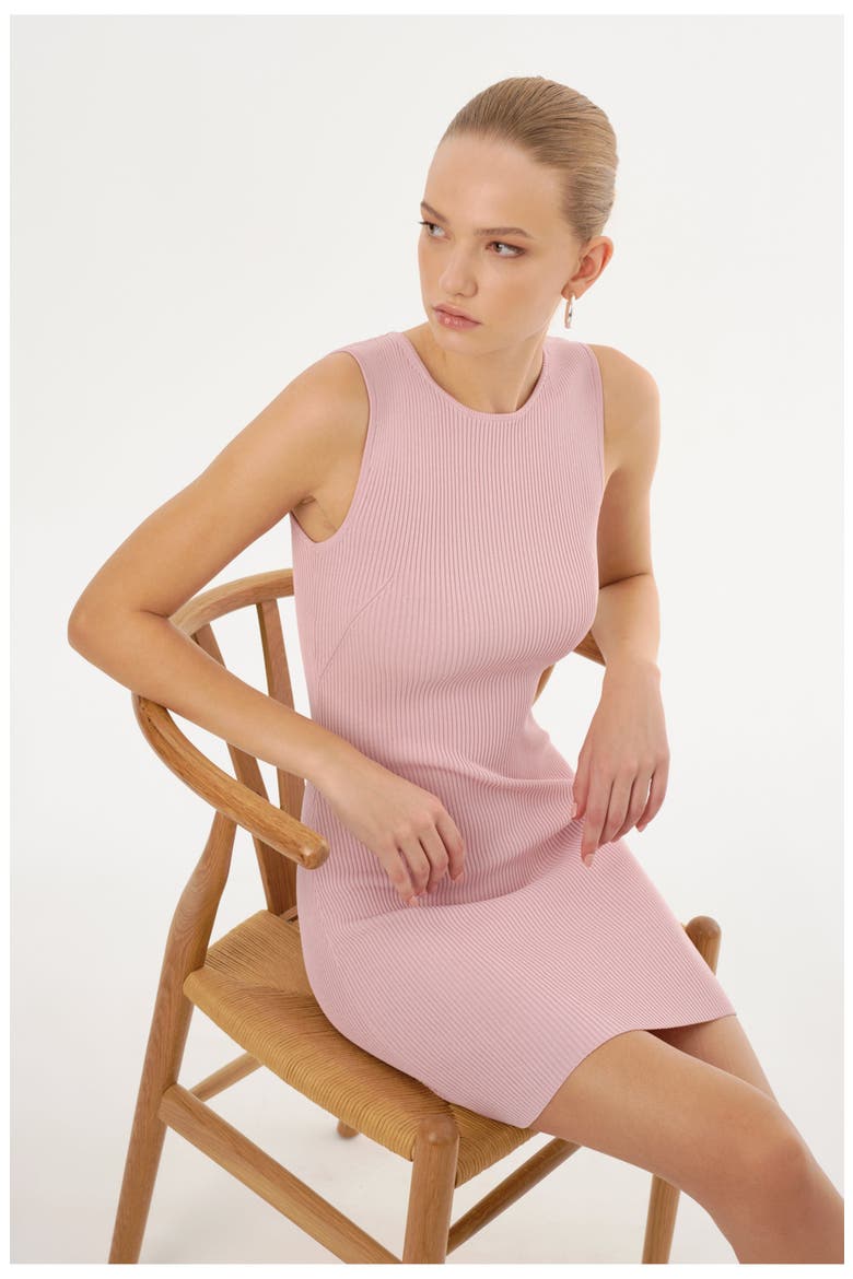 SHAY | Rib Knit Mini Dress, Alternate, color, Rose