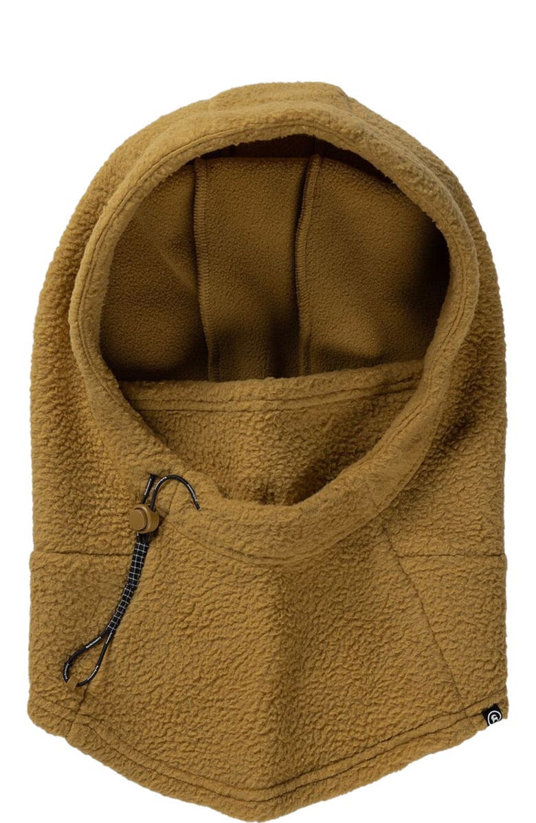 Backcountry Wander Pile-Fleece Hood, Alternate, color, Bistre