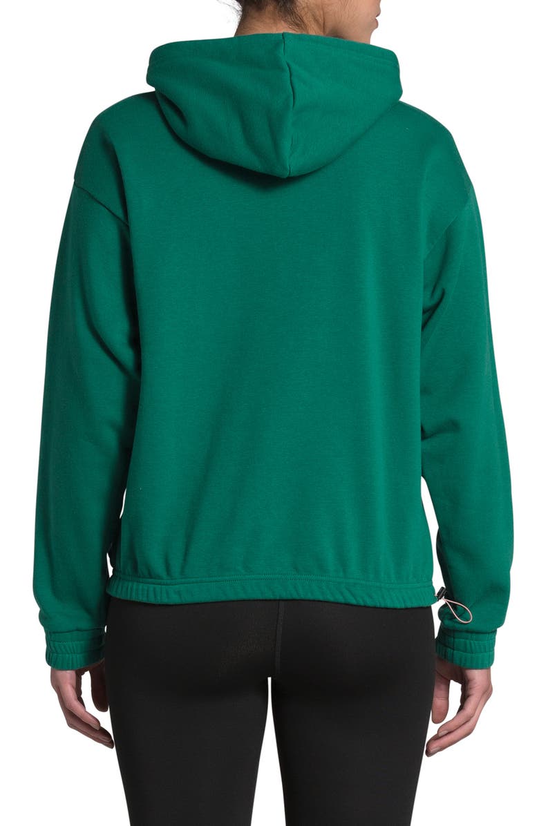 The North Face Rogue Drawstring Hoodie, Alternate, color,