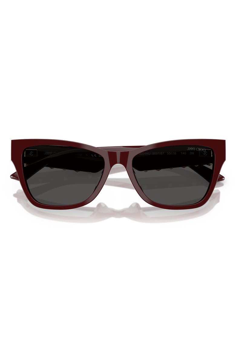 Jimmy Choo 55mm Pillow Sunglasses, Alternate, color, Red
