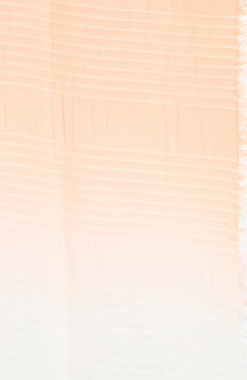 Melrose And Market Texture Ombré Scarf In Pink Timber
