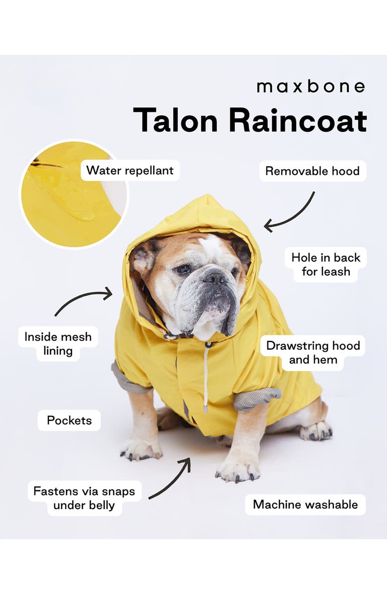 maxbone Talon Dog Raincoat, Alternate, color,