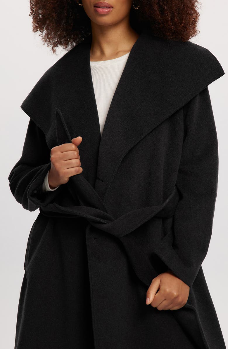 Noize Lena Belted Wrap Coat, Alternate, color, Black