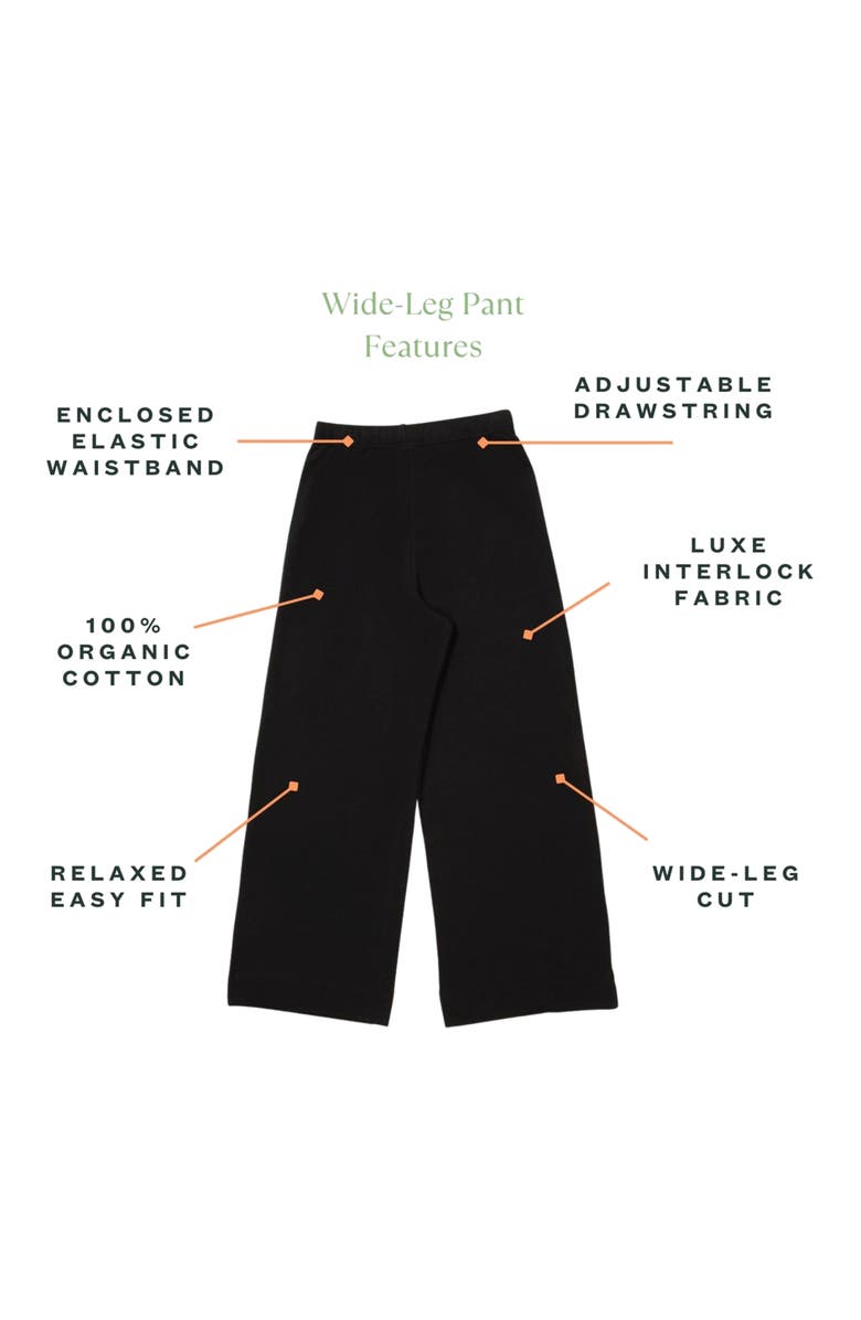 Subset Wide-Leg Pant, Alternate, color, 