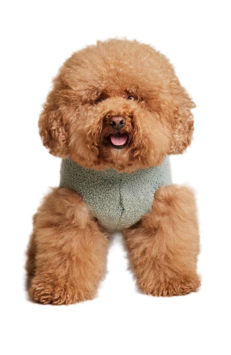 Barefoot Dreams<sup>®</sup> CozyChic<sup>®</sup> Snake Print Pet Sweater, Main, color,