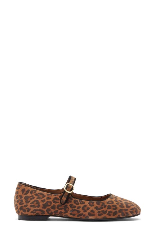 Seychelles Magnolia Mary Jane Flat In Brown