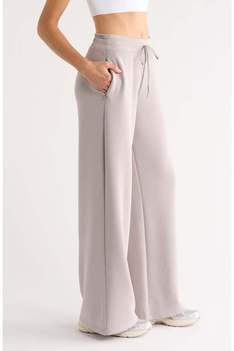 Soft Luxe Wide Leg Pants, Alternate, color, GREY EARL