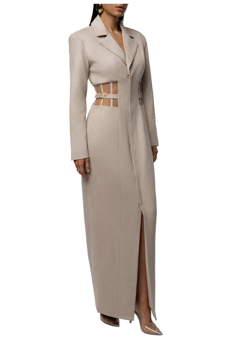 JLUXLABEL Toffee Haze Suede Dress, Alternate, color, Beige