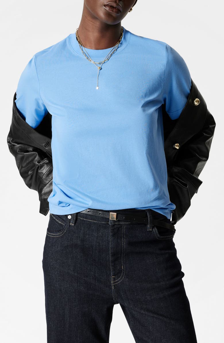 & Other Stories Crewneck Organic Cotton T-Shirt, Main, color, New Blue Medium