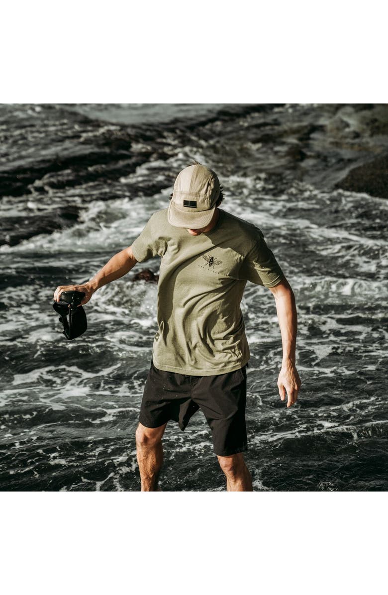 Coalatree Trailhead Short, Alternate, color, Black