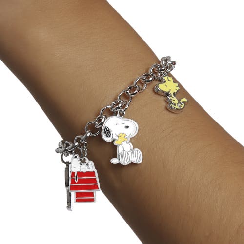 Peanuts Snoopy, Woodstock, Charlie Brown Charm Bracelet In Metallic