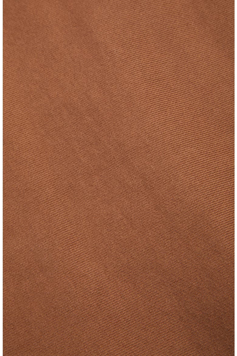 Gym Hoodie, Alternate, color, COYOTE BROWN