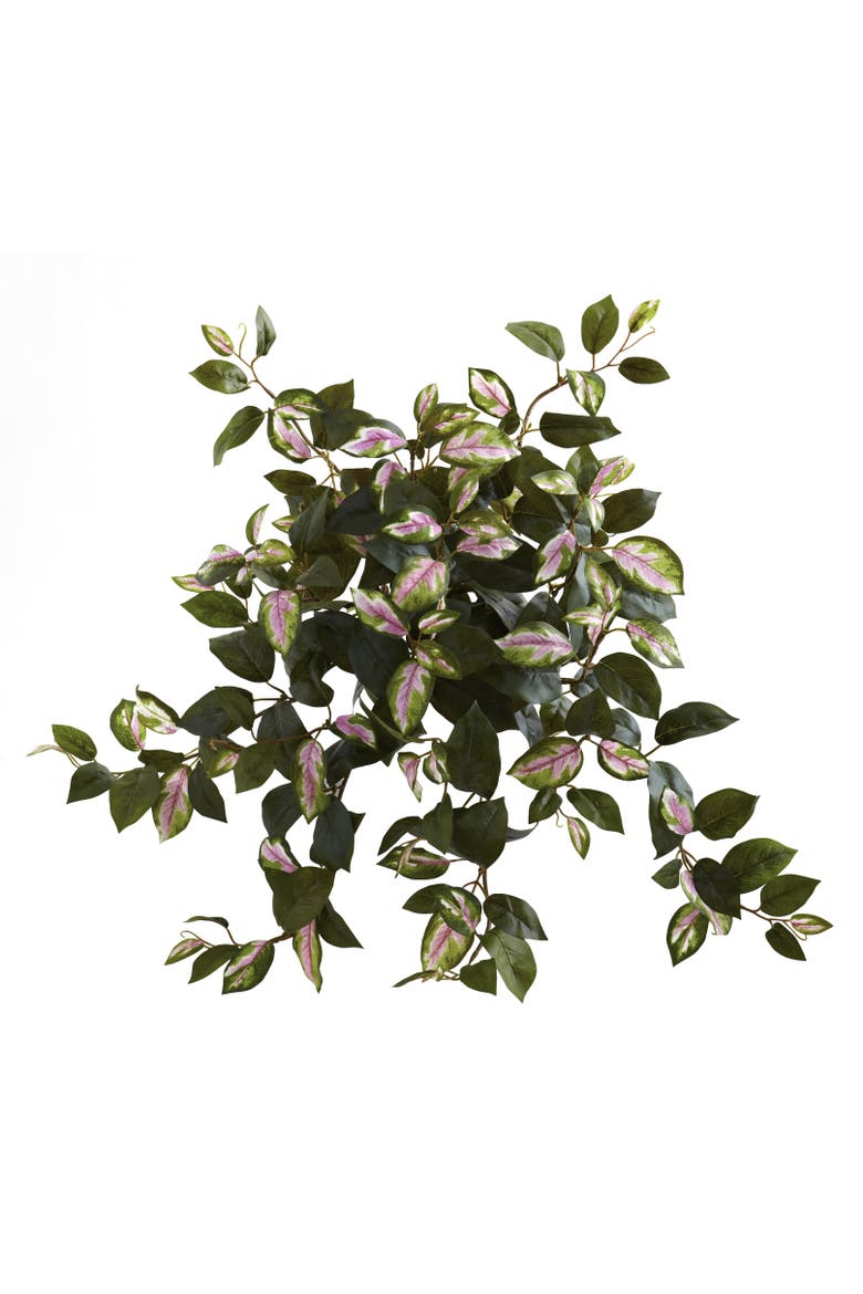 21-in Hoya Hanging Bush, Main, color, Lavender/Green