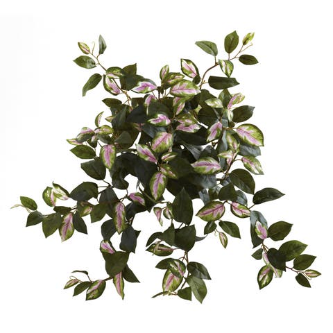 21-in Hoya Hanging Bush (Set of 4)