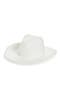 Fringe Woven Cowboy Hat