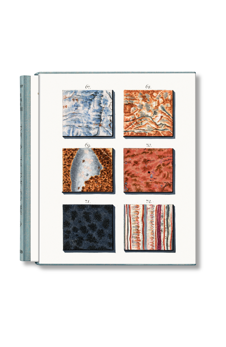 Taschen Jan Christiaan Sepp. The Book of Marble, Main, color, Multicolor