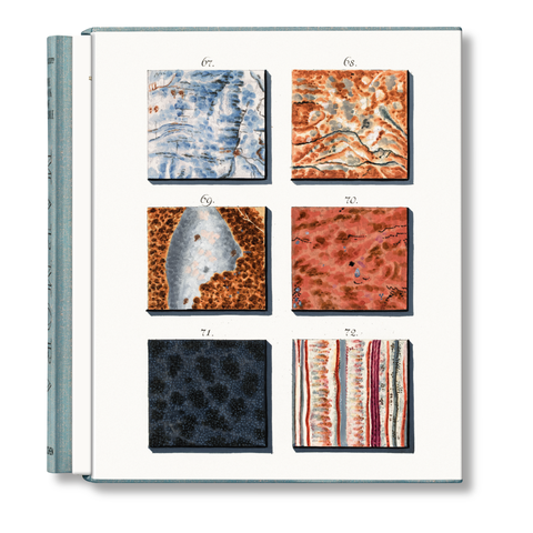 Jan Christiaan Sepp. The Book of Marble