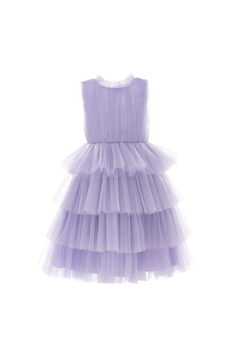 Tulleen Farvue Dress, Main, color, Purple