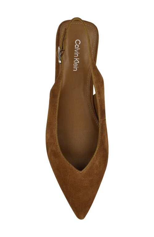 Calvin Klein Galiana Slingback Pointed Toe Flat