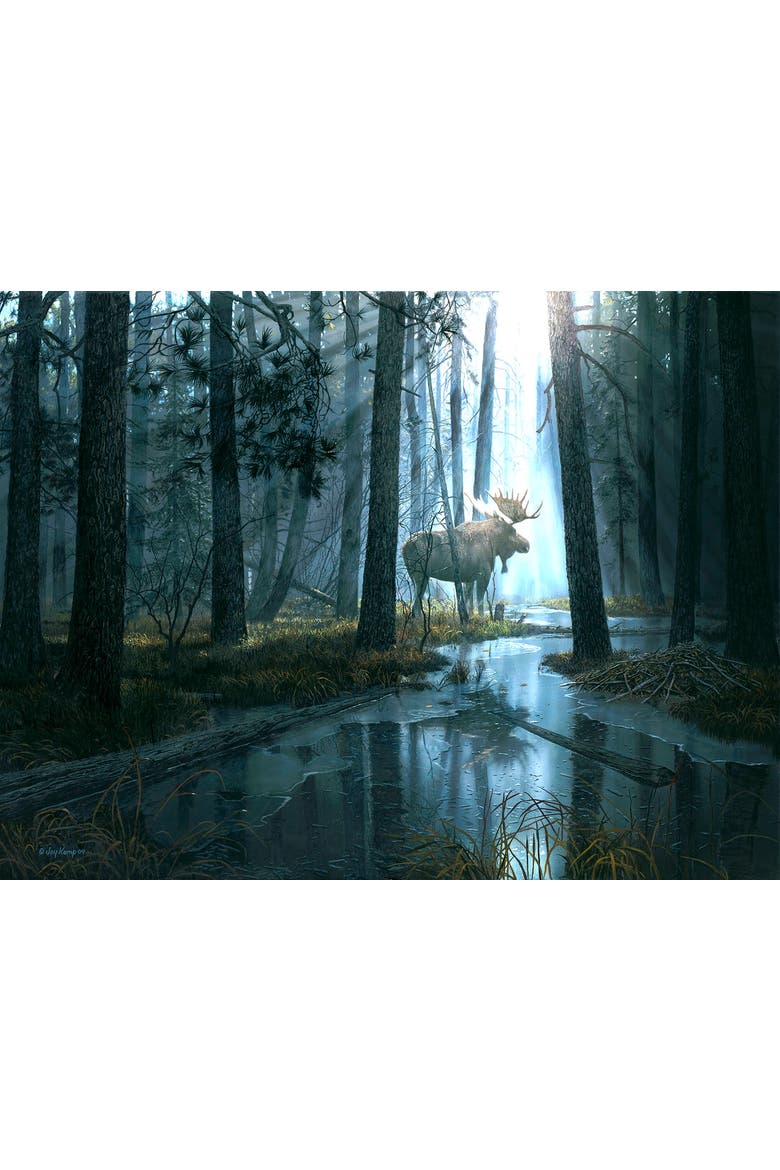 Caught by Light 300 piece Jigsaw Puzzle for Adults, Alternate, color, Multicolor