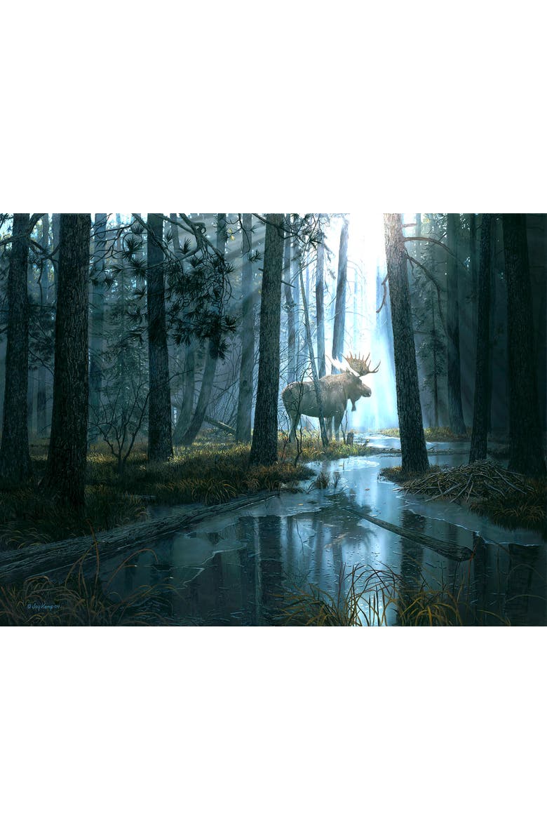 Sunsout Caught by Light 300 piece Jigsaw Puzzle for Adults, Alternate, color, Multicolor