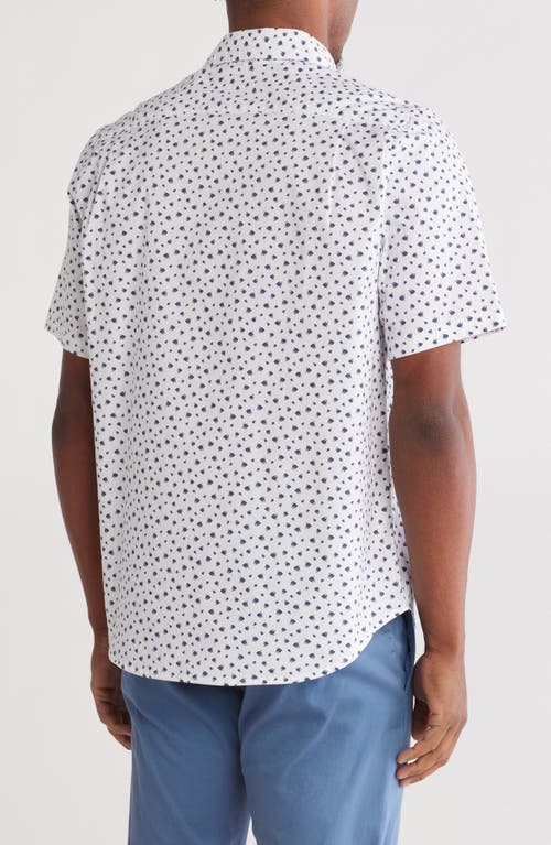 14th & Union Fish Print Short Sleeve Stretch Poplin Button-up Shirt