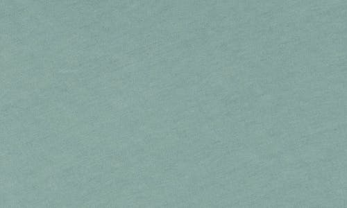 Shop Madewell Vintage Crewneck Cotton T-shirt In Pale Eucalyptus