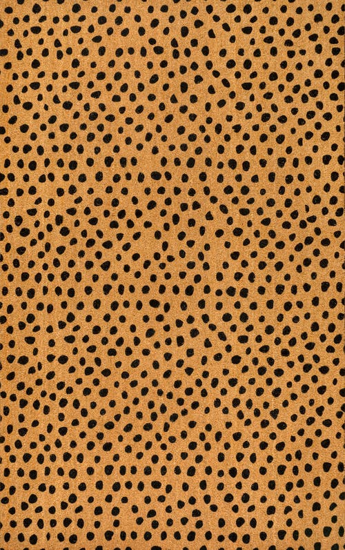 Jonathan Y Daphne Modern Classic Animal-spot Bordered Coir Indoor/outdoor Area Rug In Brown