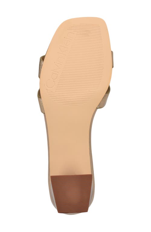 Calvin Klein Andrae Slide Sandal In Brown