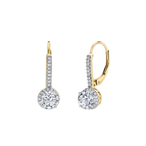Meadowlark Pave Round Diamond Drop Huggie Hoop Earrings in 14K Gold