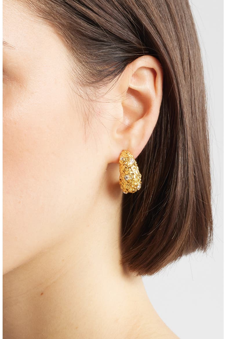 Crystal Nest Hoop Earrings, Alternate, color, GOLD