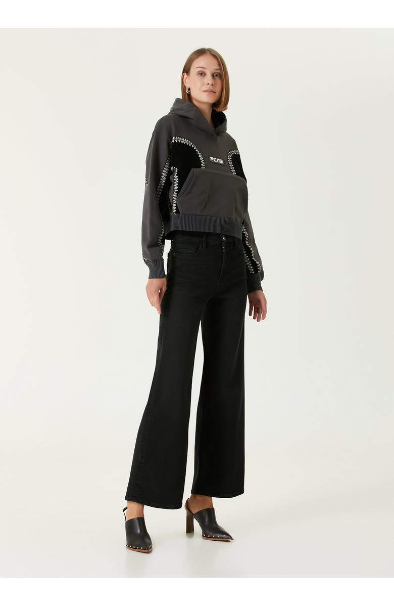 PCFG Cotton Panelled Hoodie, Alternate, color, Black