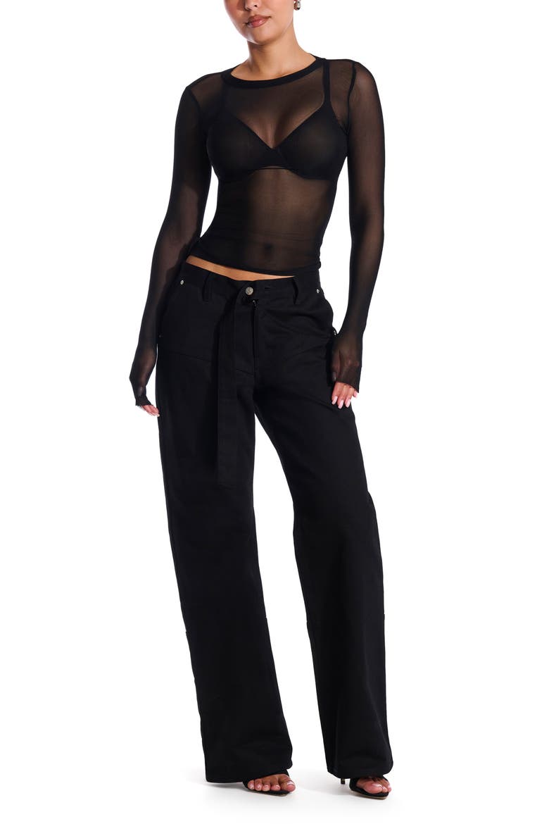 Sheer Mesh Long Sleeve Top, Alternate, color, BLACK