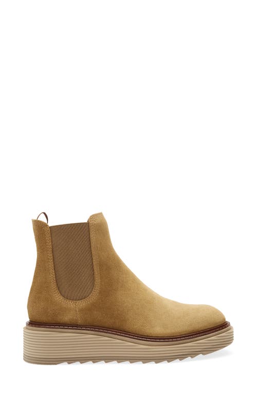 Pedro Garcia Shelby Chelsea Boot In Brown