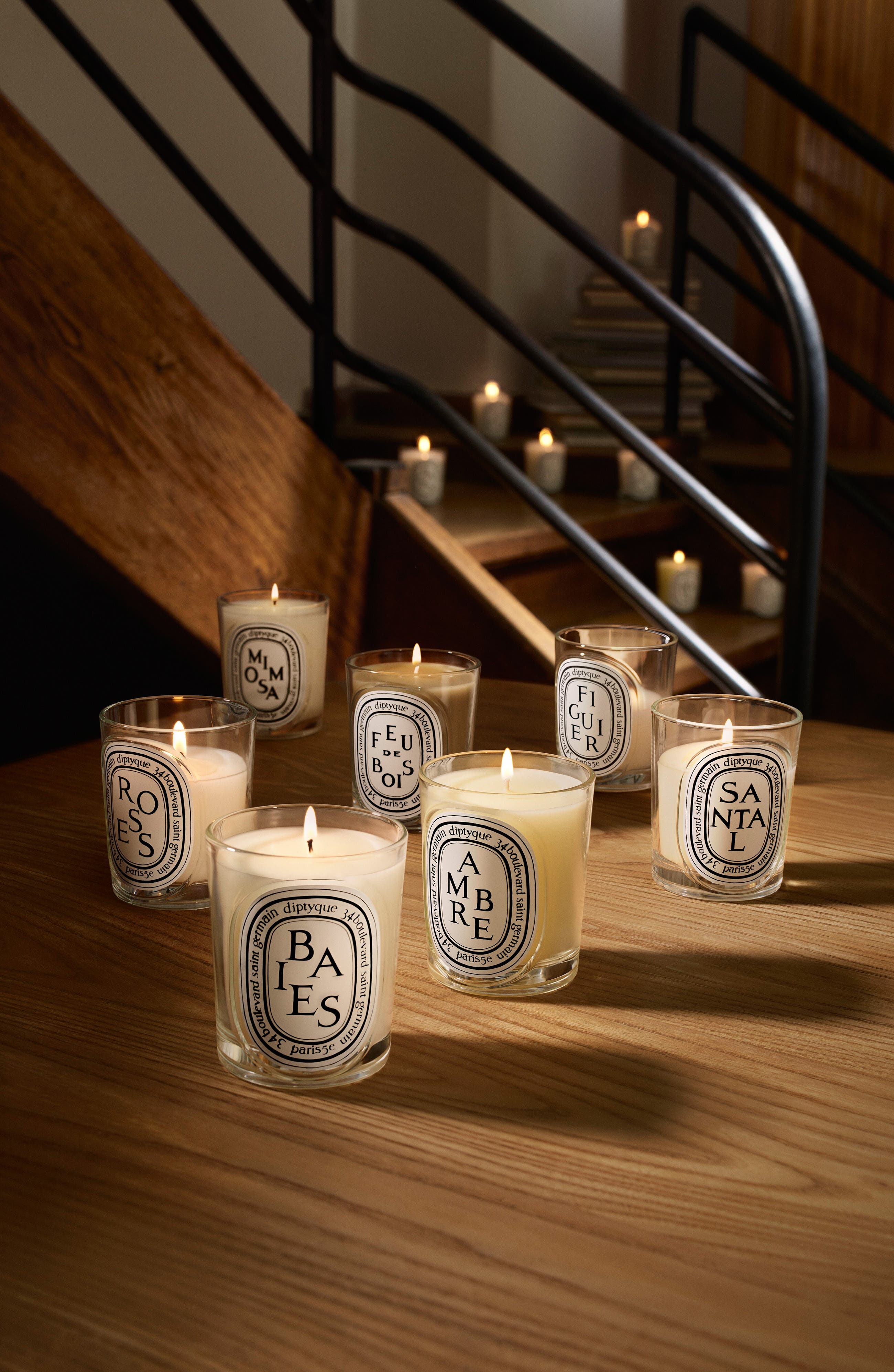Diptyque Baies (Berries) Classic Candle | Nordstrom
