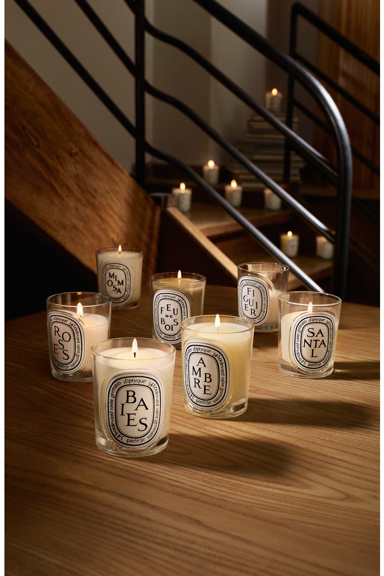 Baies (Berries) Classic Candle, Alternate, color, NO COLOR