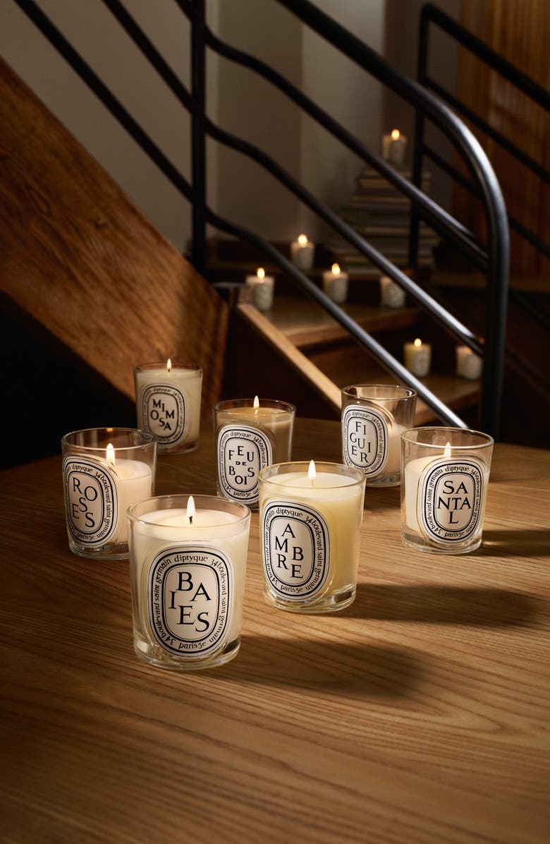 Diptyque Figuier (Fig Tree) Classic Candle, Alternate, color, 