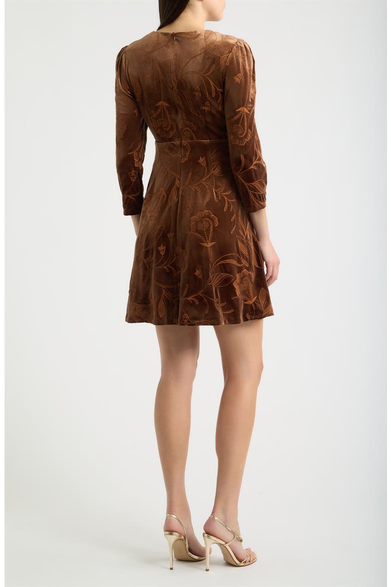 Long Sleeve Embroidered Velvet Dress, Alternate, color, CHOCOLATE