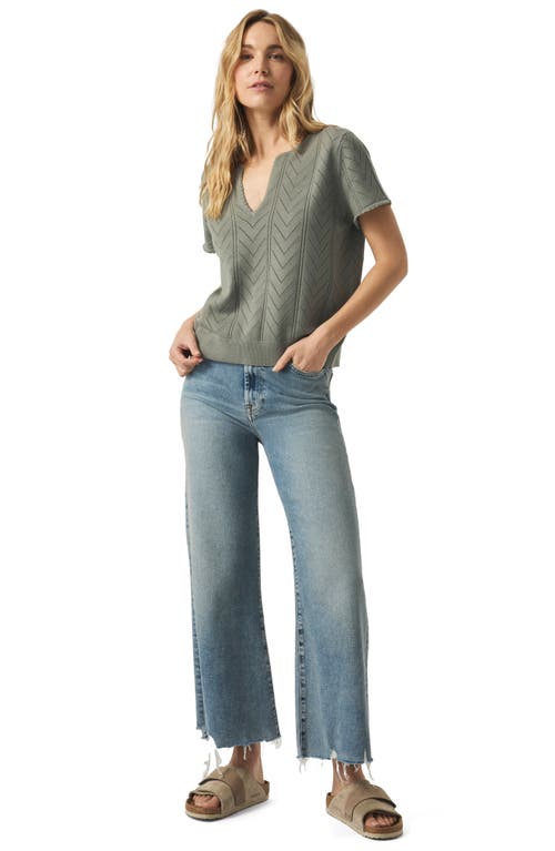 Splendid Sabrina Pointelle Short Sleeve Sweater In Green