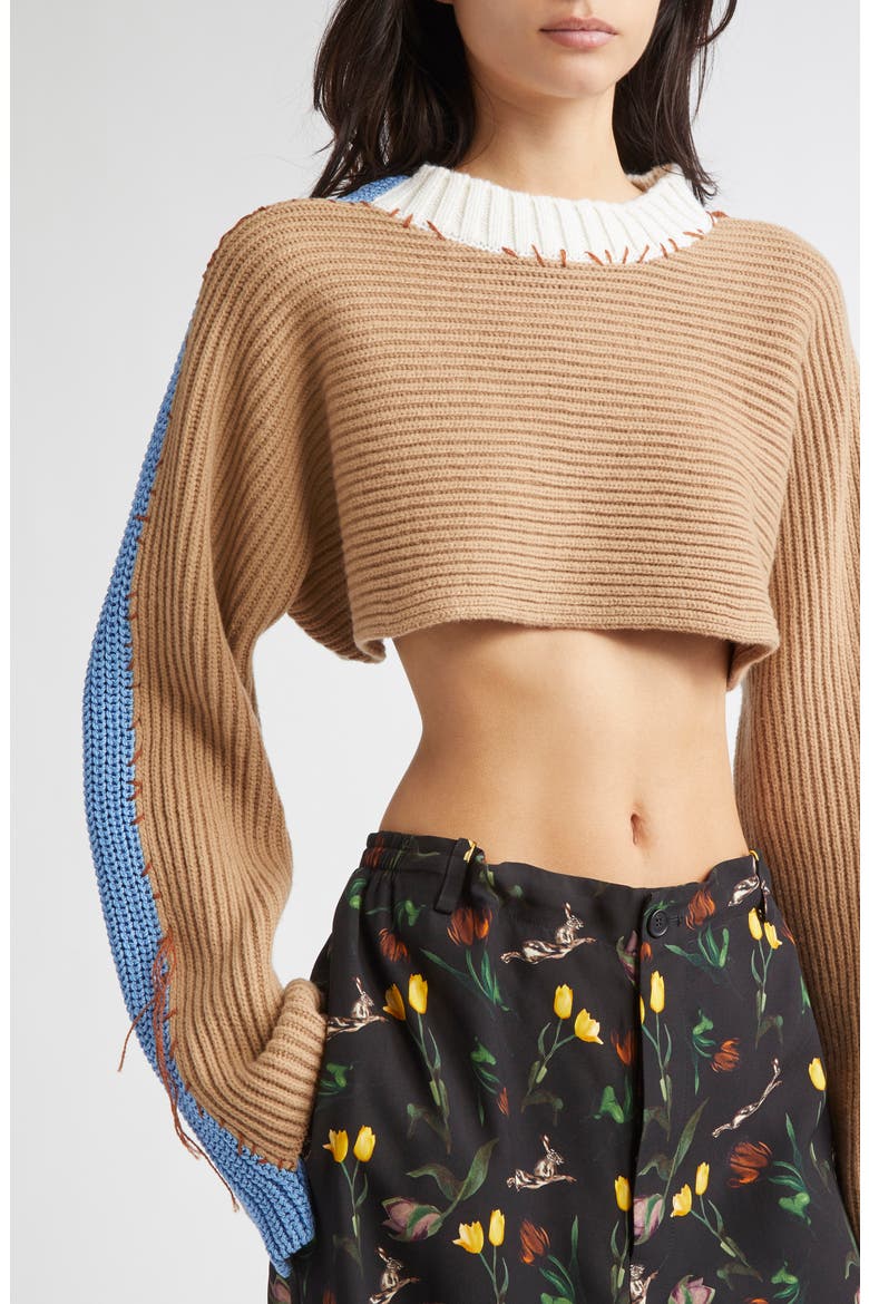 Patchwork Crewneck Crop Sweater, Alternate, color, DUNE