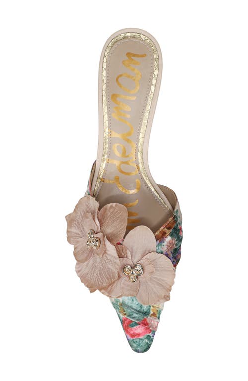 Sam Edelman Bella Pointed Toe Kitten Heel Pump