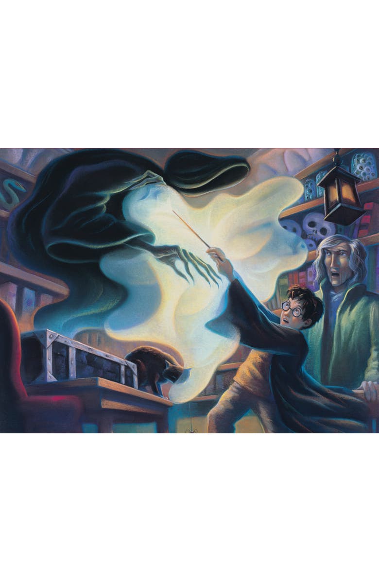 NEW YORK PUZZLE COMPANY Patronus Practice 500 Piece Puzzle, Alternate, color, NO COLOR