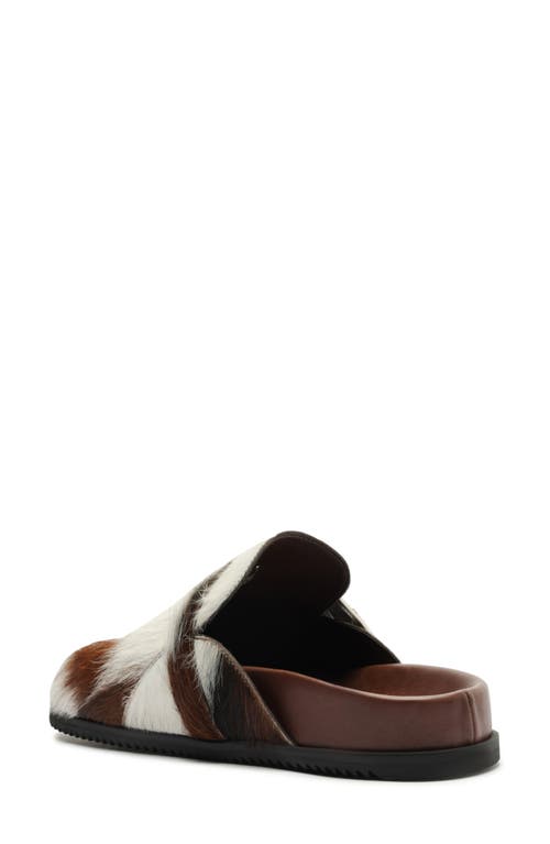 Schutz Grace Buckle Genuine Calf Hair Clog In Brown