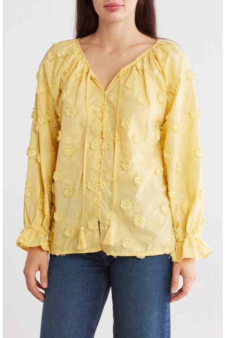 Embroidered Long Sleeve Top, Main, color, YELLOW