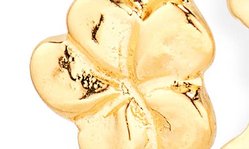 Ki-ele Forever Plumeria Small Hoop Earrings In Gold