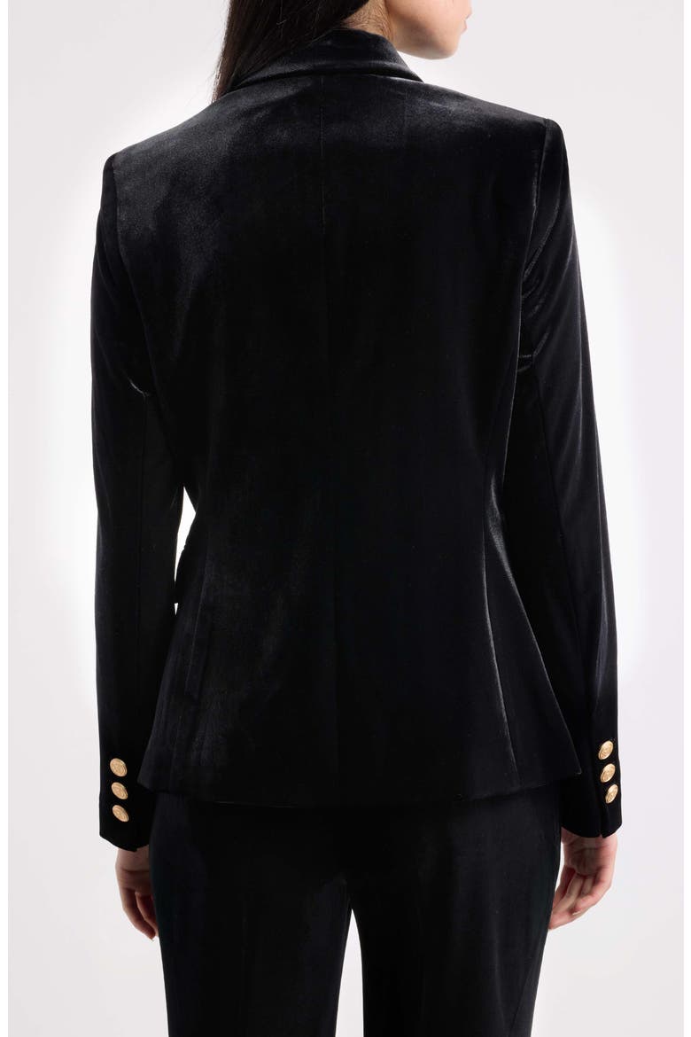 Velvet Blazer, Alternate, color, BLACK